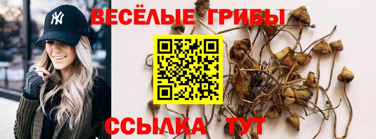 Псилоцибиновые грибы мицелий  Галлюциногенные грибы ЛСД  Заречный  Вход с VPN 