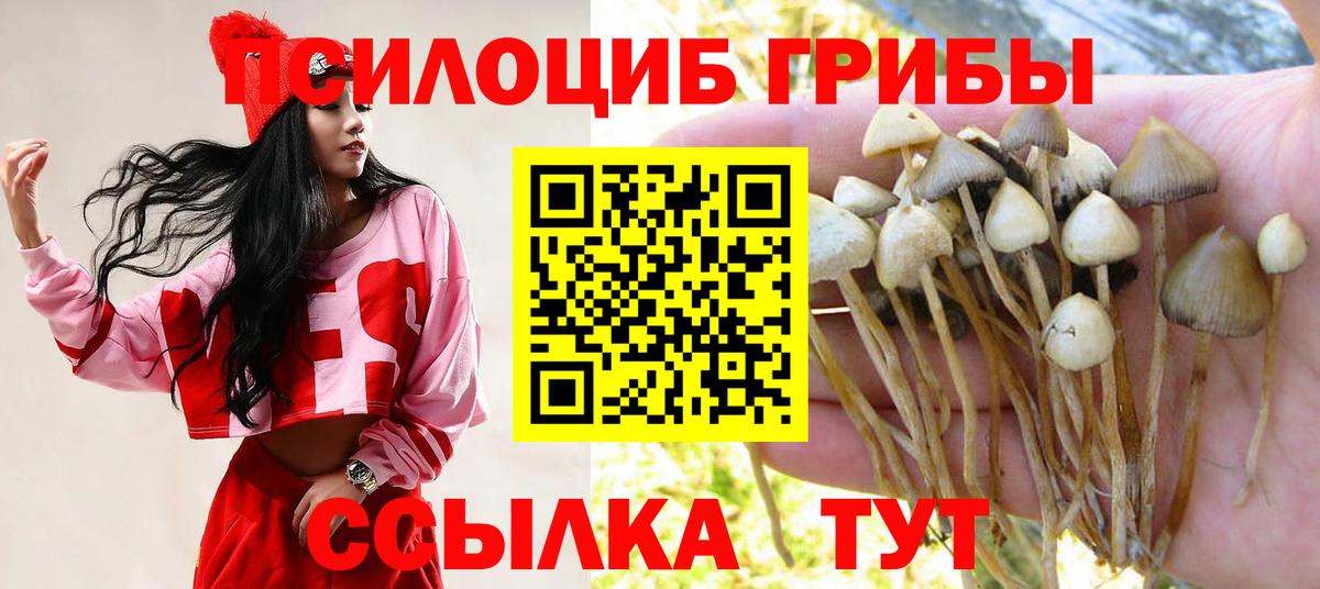 Псилоцибиновые грибы MAGIC MUSHROOMS Заречный
